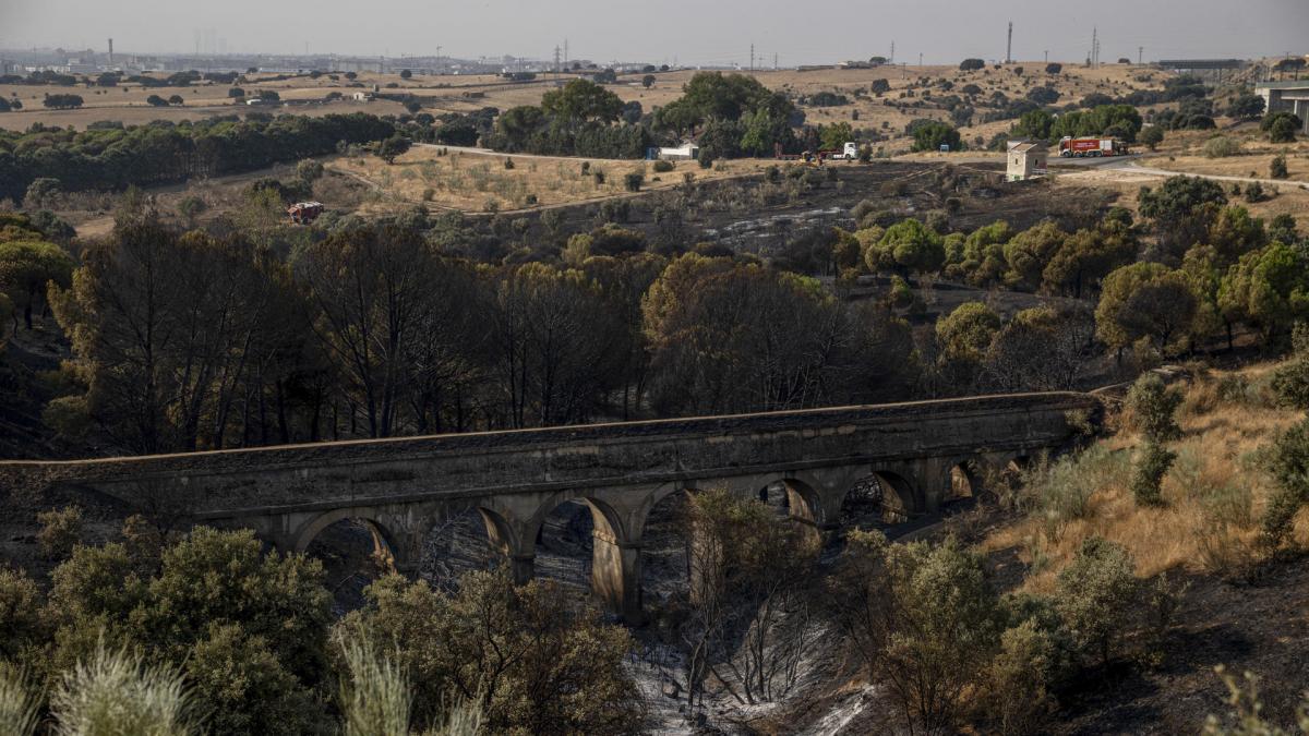 ¿La Agenda 2030 te multa por limpiar los montes? Los bulos que deja la ola de incendios en España