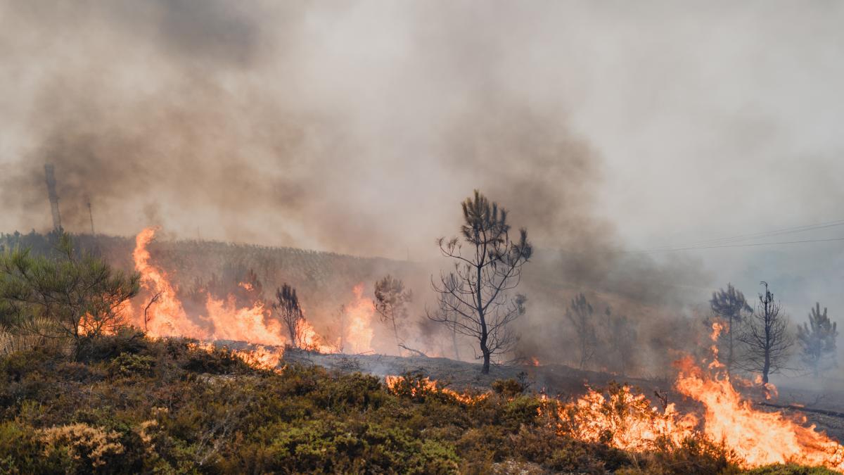 La mejora de la meteorología permite la reanudación del AVE Madrid-Galicia, pero una veintena de incendios graves siguen activos