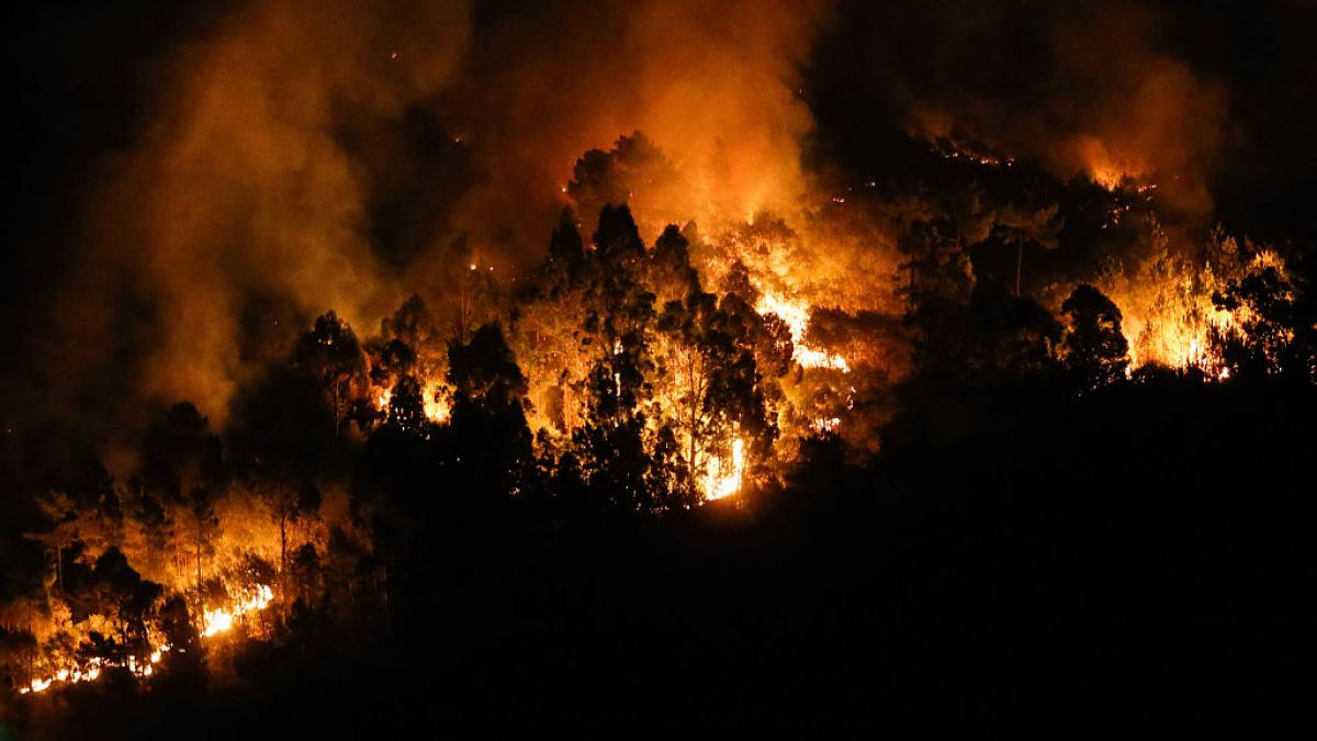  No podemos suprimir los incendios : por qué Zamora, Ourense o León son especialmente vulnerables ante el fuego y cómo convivir con él