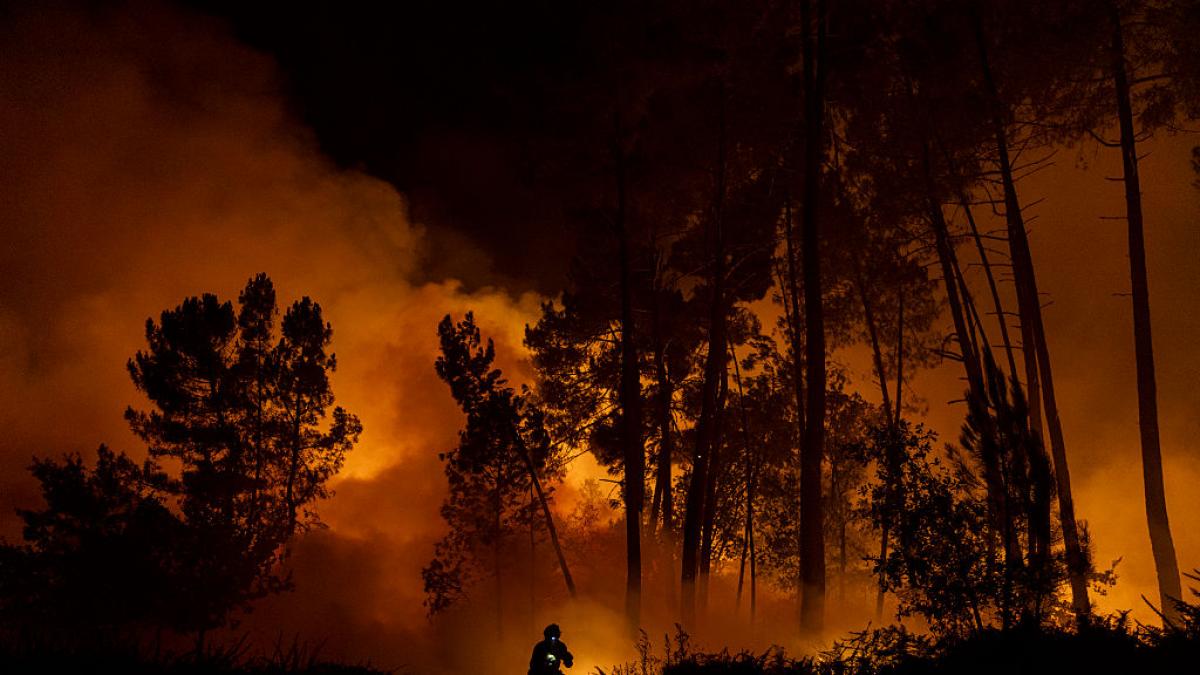 La mejoría de los incendios permite realojos y desescaladas en Extremadura y Zamora