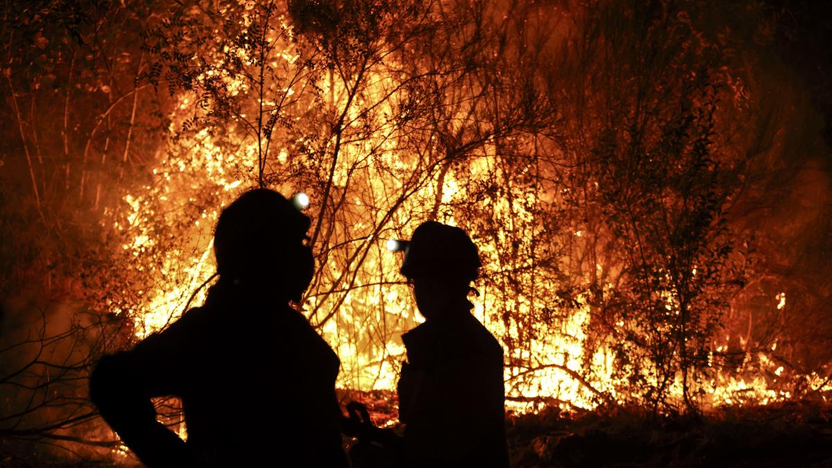 La lucha contra el fuego en Galicia, Castilla y León o Asturias se complica con más focos y reactivaciones