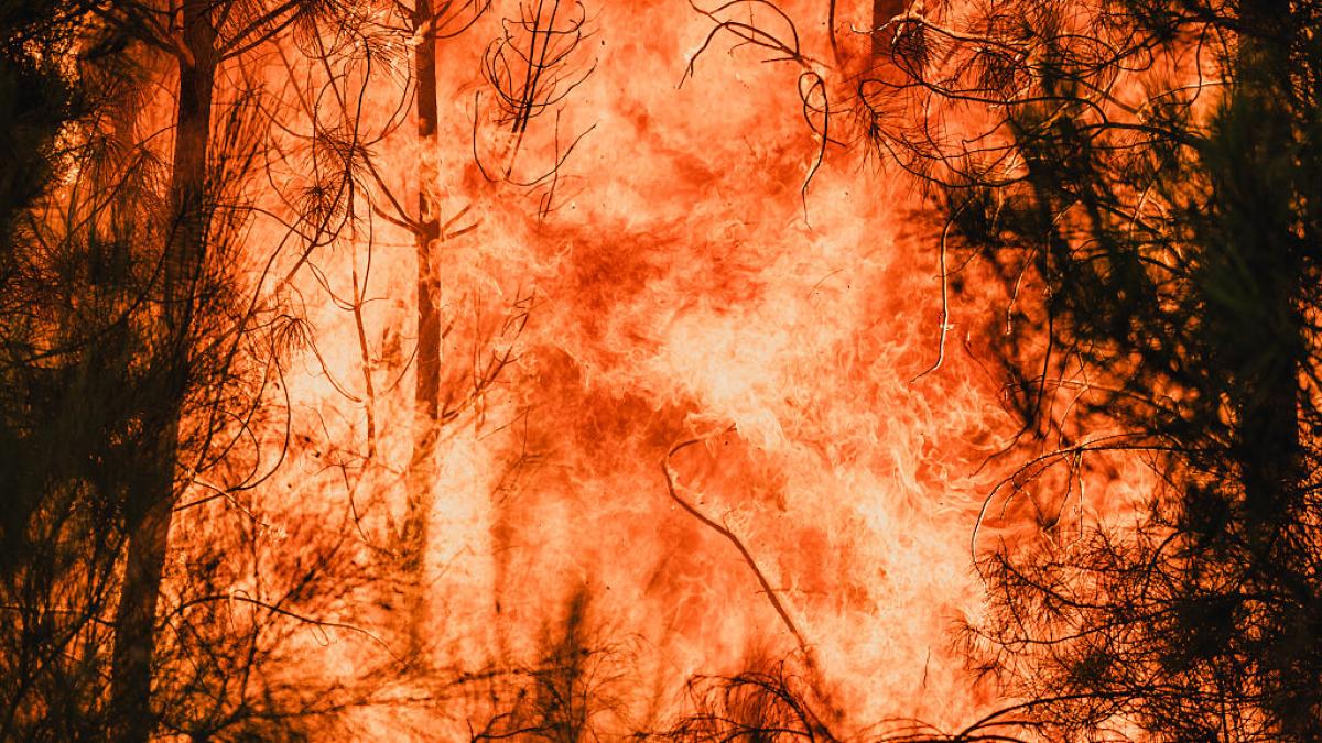 Sí, por mucho que digan los negacionistas, el cambio climático también explica la virulencia de la última ola de incendios