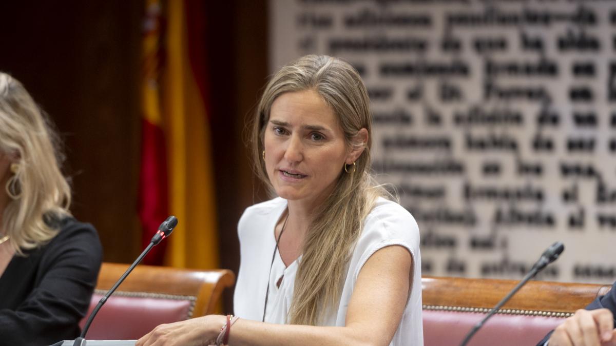 Aagesen reivindica el despliegue  sin precedentes  contra los incendios y defiende la actuación del Gobierno