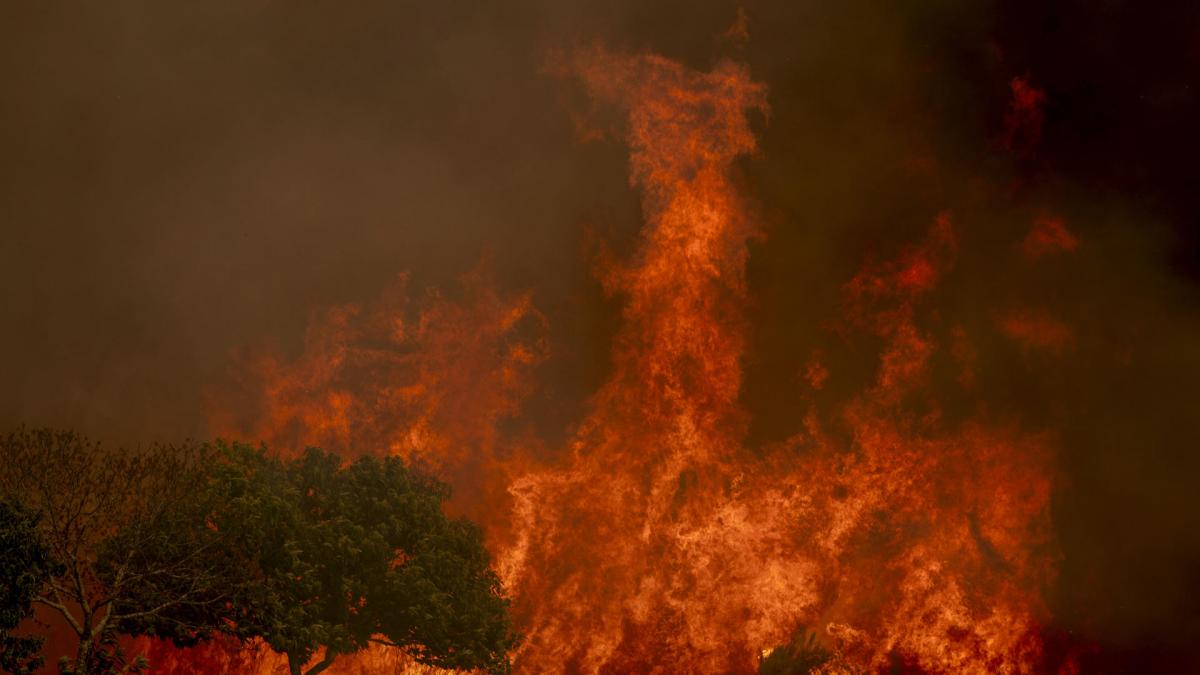 La situación general de los incendios mejora, aunque preocupan varias reactivaciones