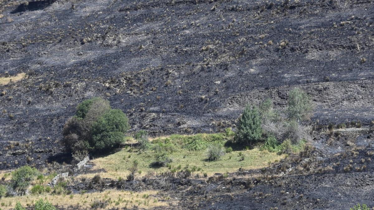 Activada la fase de emergencia 1 por un incendio en Lubrín (Almería), mientras en Castilla y León hay 16 fuegos activos