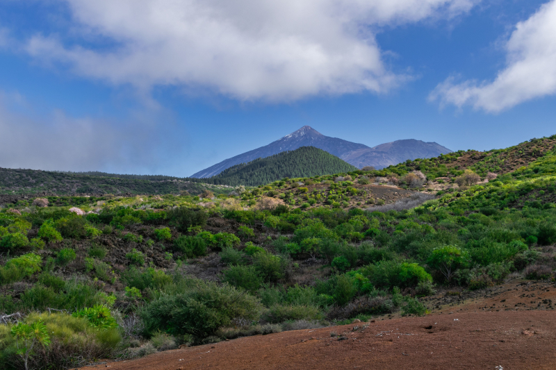 Santiago del Teide, en Tenerife.