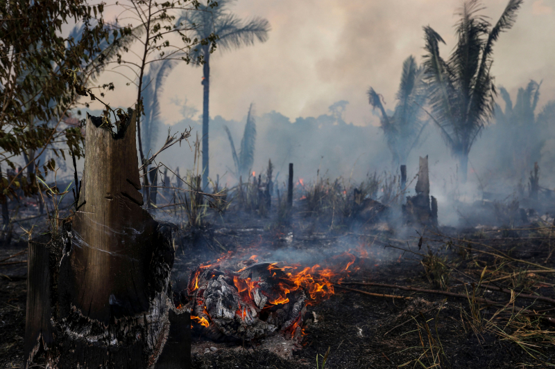 Incendio declarado en el sur de la Amazonia de Brasil en septiembre.