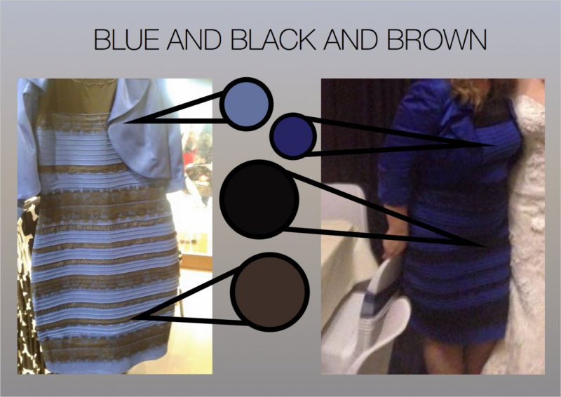 De qué color ves este vestido, blanco o azul? (ENCUESTA)