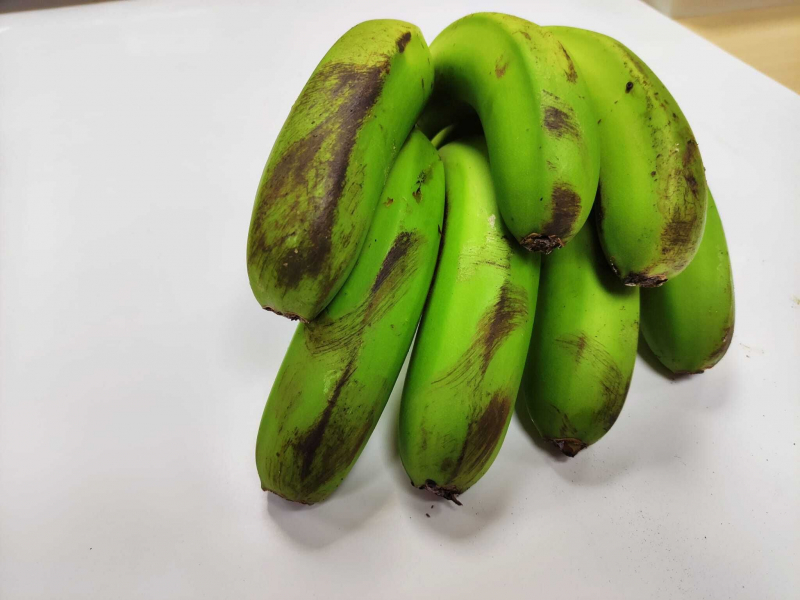 La verdad sobre el mensaje viral de las manchas negras de los plátanos de  La Palma