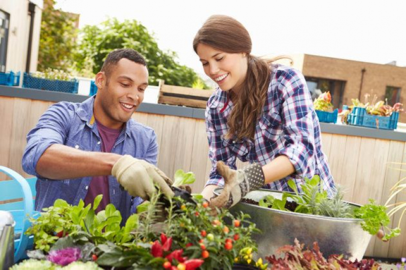 La jardinería también podría ayudar a personas con dolor crónico.