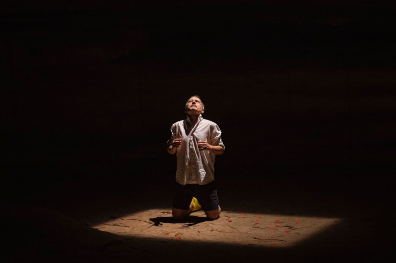 Malvolio en 'Noche de Reyes'.