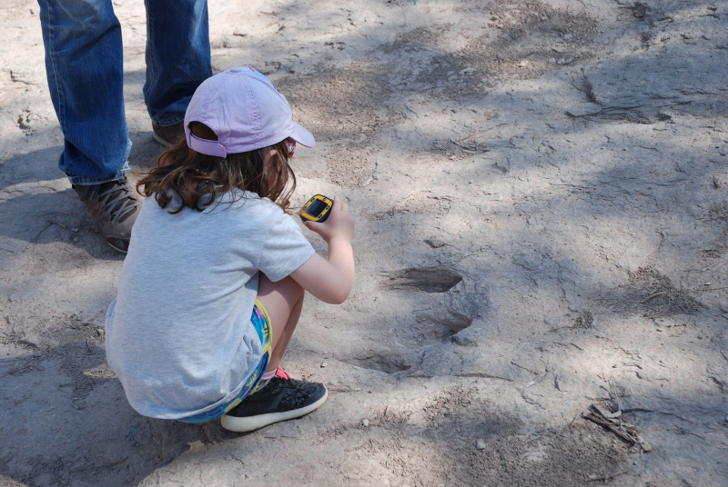Una niña fotografía una huella de dinosaurio en un yacimiento del Parque Cretácico.