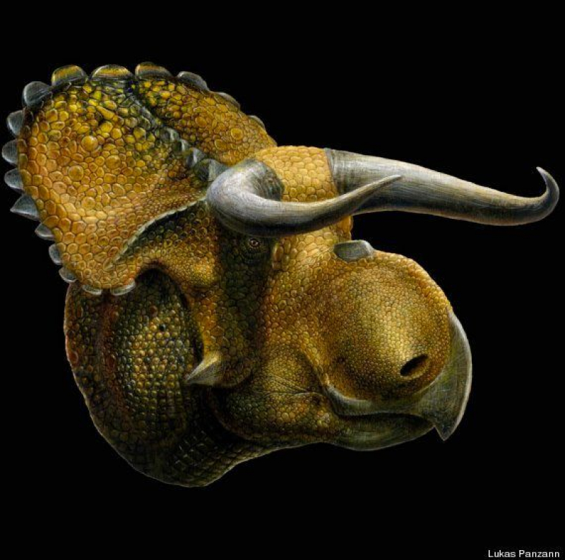 Descubren una nueva especie de dinosaurio con una enorme nariz y dos cuernos