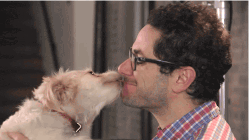 Perro besando a su dueño.