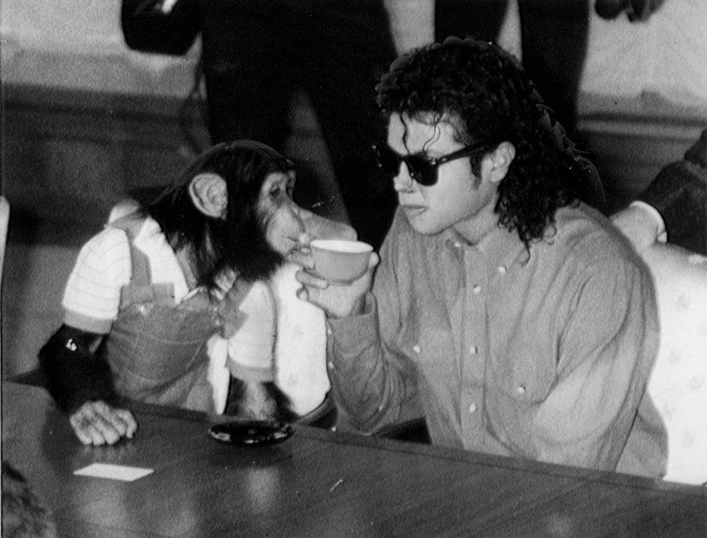 Qué fue de Bubbles, el chimpancé de Michael Jackson