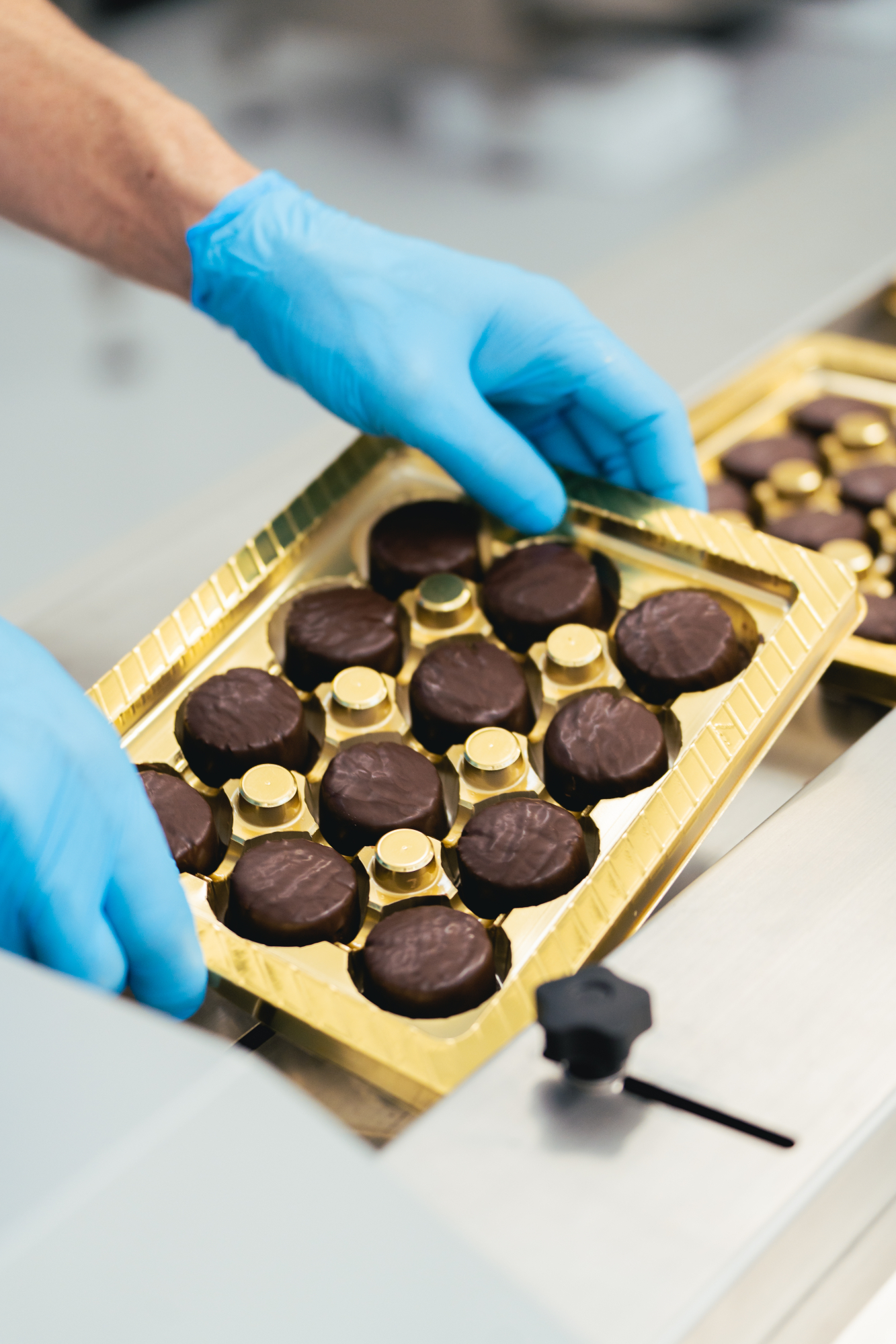 los toritos de chocolate son una de las novedades de esta pasteleria centenaria 5245