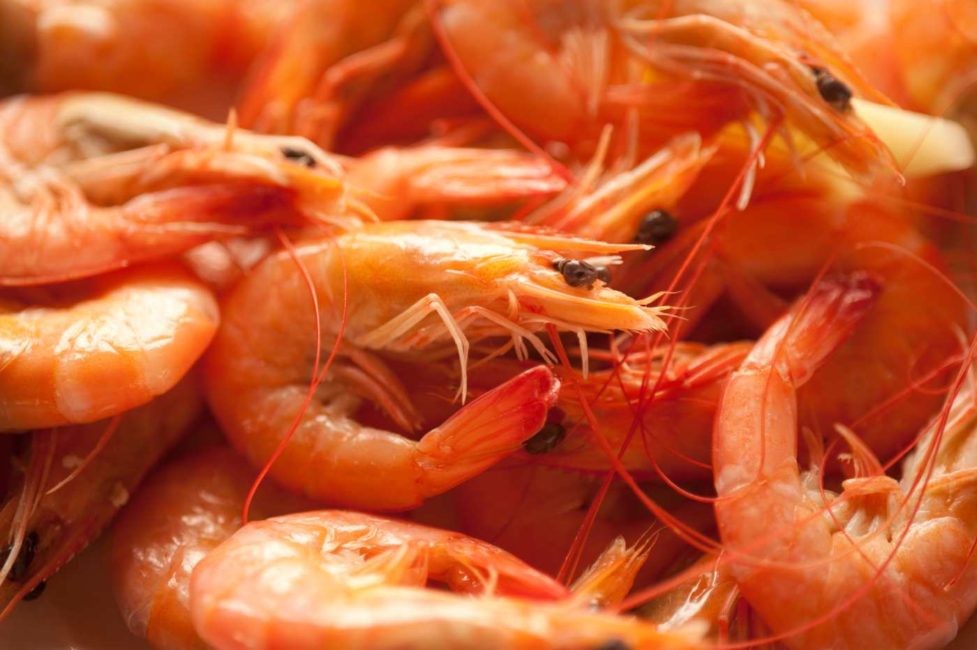 Alerta alimentaria desde Hong Kong por un tóxico peligroso en gambas