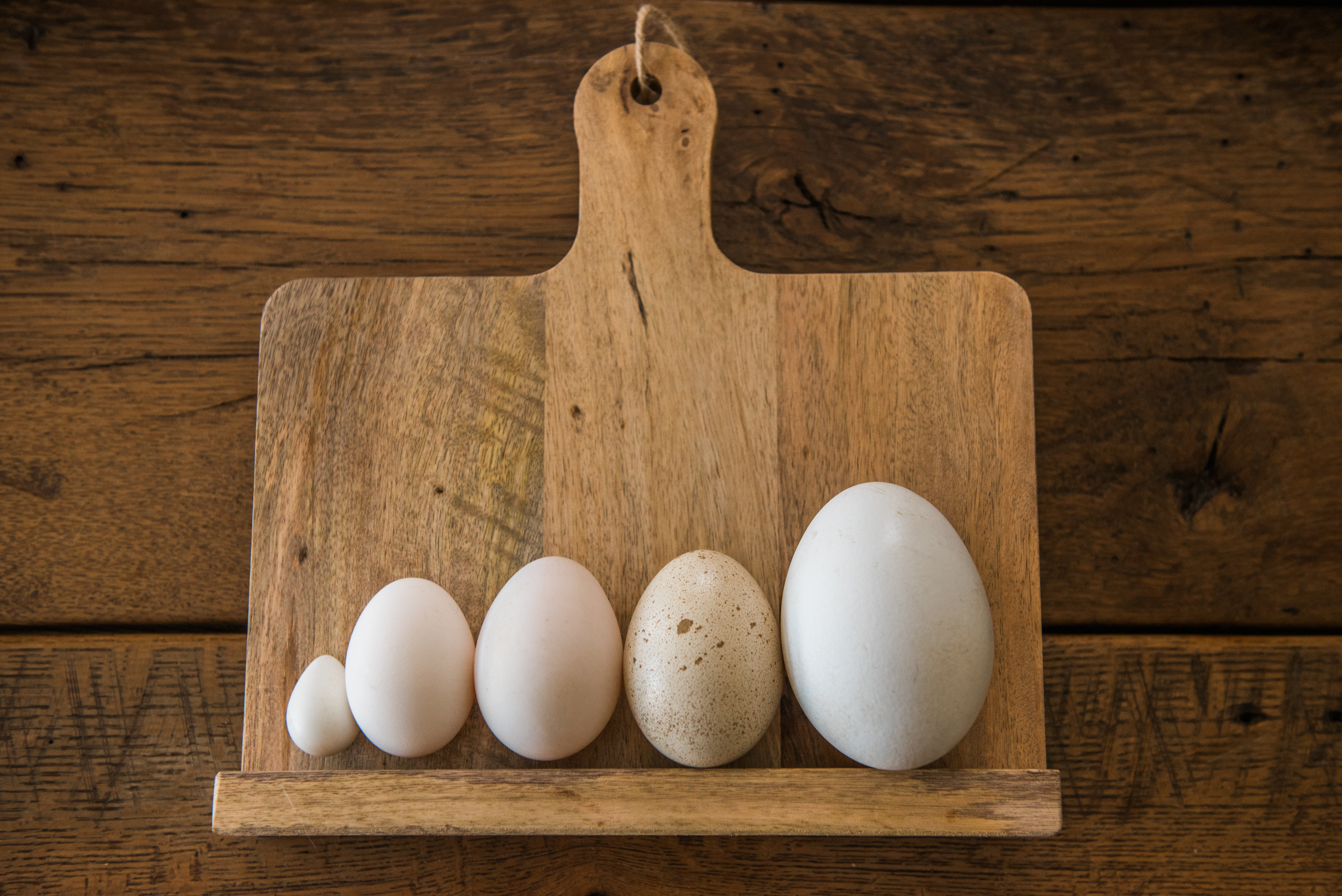 Ni De Gallina Ni De Codorniz Estos Son Los Huevos Que Faltan En Todas Las Cenas De Navidad Y