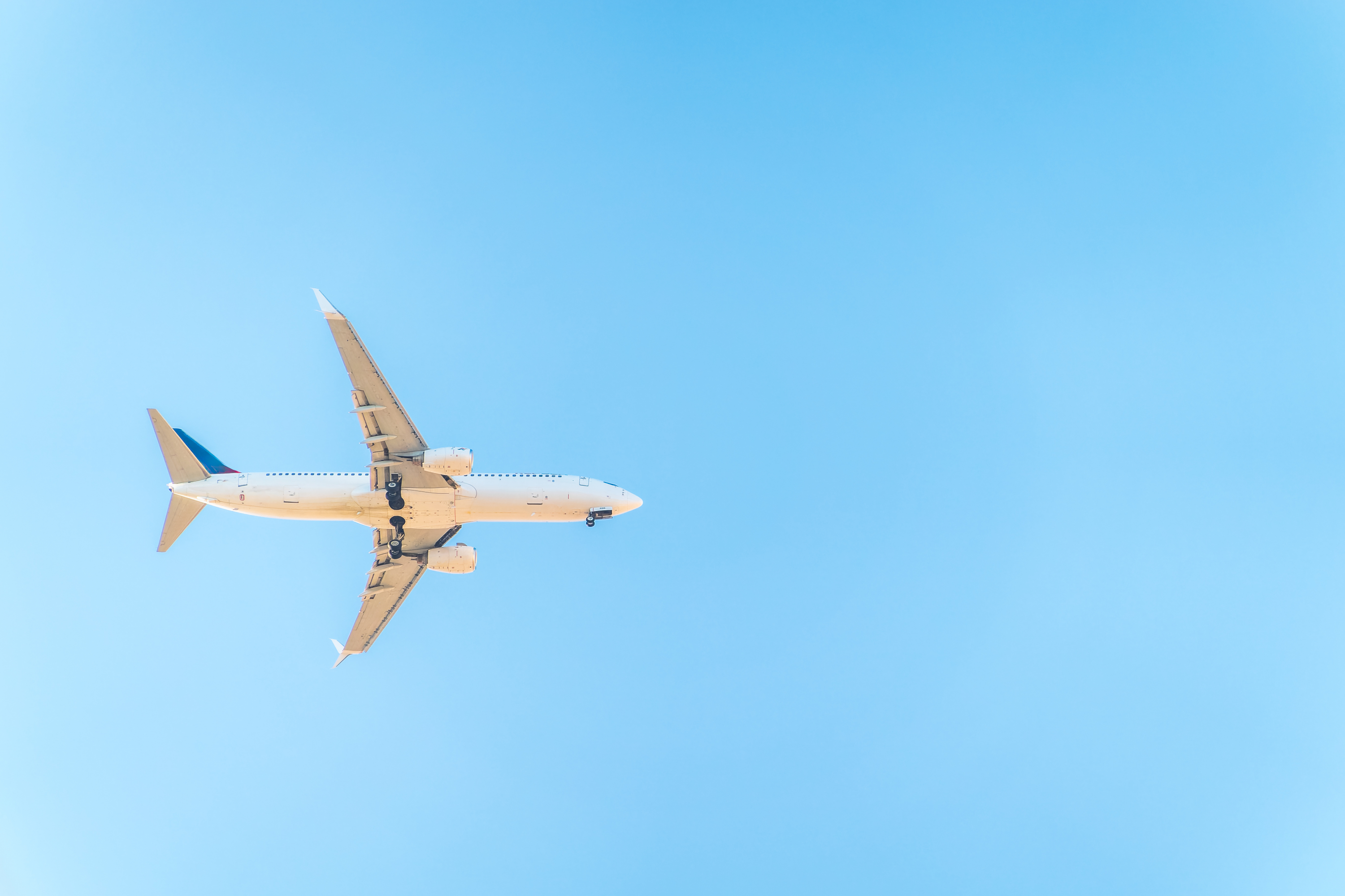 Estas Son Las Características De Un Boeing 737 800 El Avión Estrellado